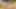 Ateşli tgirl vitoria neves makineye monte edilmiş bir dildo kullanarak boşalıyor