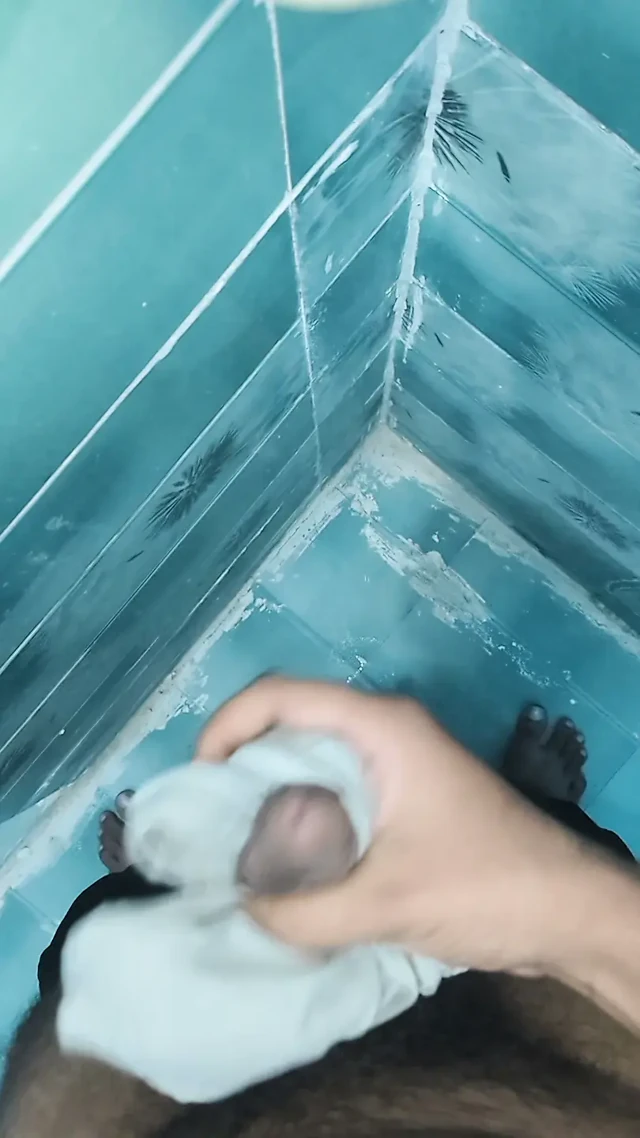 Yalnız çocuk baldızının pantolonuna💦 vurdu.