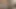 Genç mila jade kedi becerdin tarafından bir siyah adam