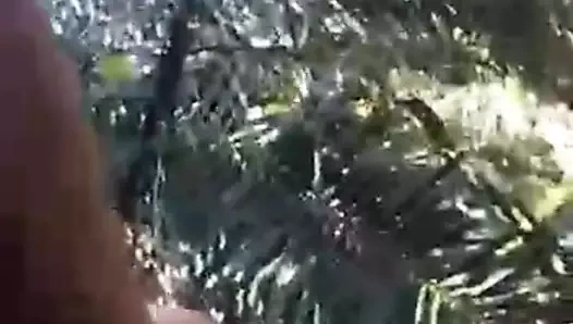 Ormanda seks - açık havada