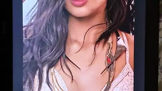 Janhvi kapoor horoz haraç
