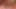 sapıkça minx