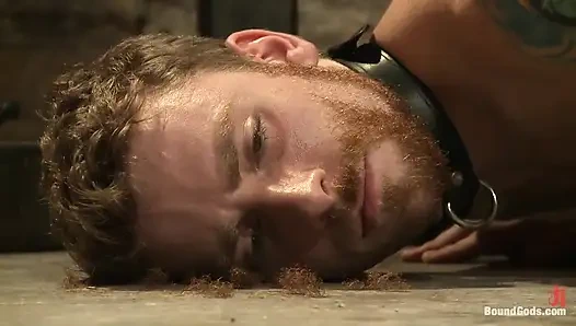 Evin domunun resmi selamlaması