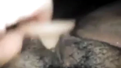 Yeşim onu ​​kedi lanet ve sağladım.