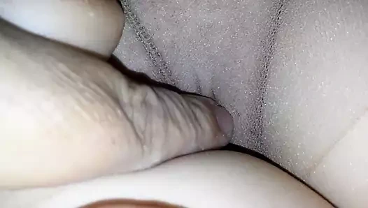 eşleri KEDİ içinde sırf bronzluk naylon tayt