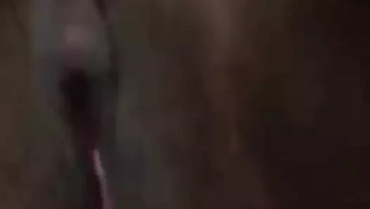 Benim büyük şişman ıslak olgun yaramaz kedi flash için fanlar sri lankan