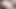 Nunnally (CG)