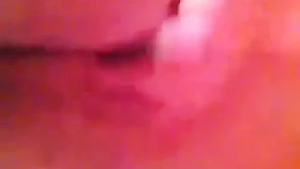 Bellaca porto riko 2