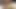 Colombian Nalgona Doggstyle