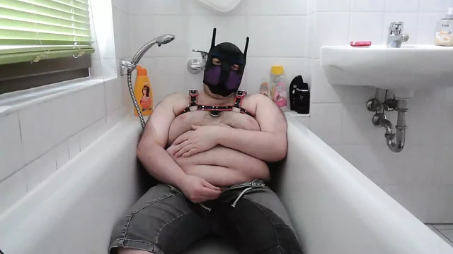 Şişman köpek pantolonuna işiyor.