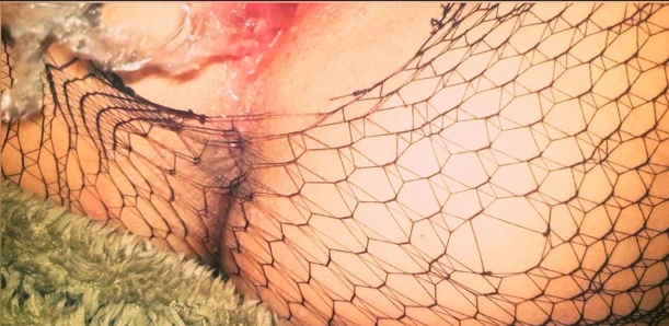 Gerçek amatör eş içinde külotlu çorap oynama ile ona ıslak kedi ve oyuncak