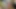 Güçlü anal orgazm ile yoğun üçlü anal seks