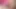 Orta yaşlı seksi kadın gırtlağına kadar yarak emiyor
