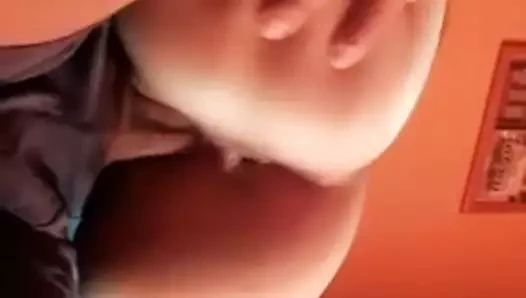 sel13