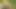 The mood of the sister-in-law who is walking in the open forest fields becomes to get rid of the sister-in-law sitting in the field and putting fingers in her ass pussyoutdoor