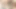Seksi genç kız üvey babası tarafından sikiliyor