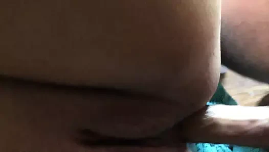 anal anal
