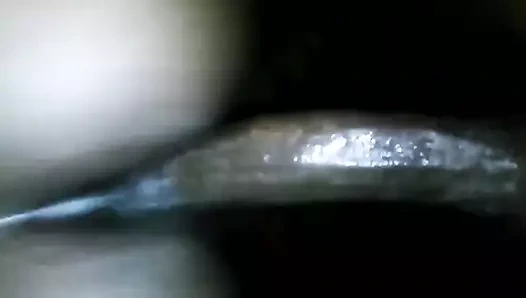 Dat azz ve büyük zenci