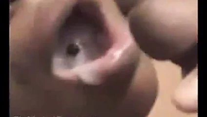 boşalmak tadı seven