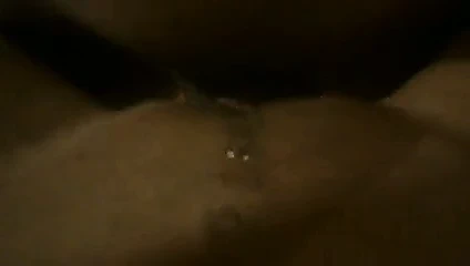 Polonya amatör kinga 3