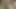 Azgın eşcinsel boşalması ve oral seks