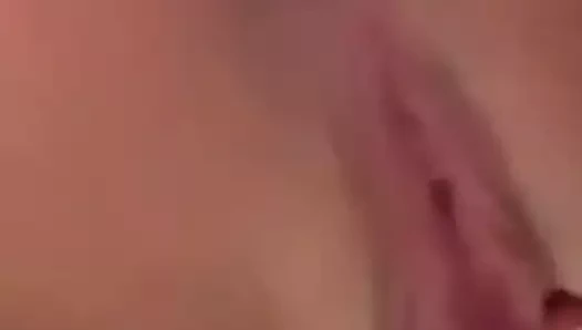 güzel damlayan ıslak KEDİ