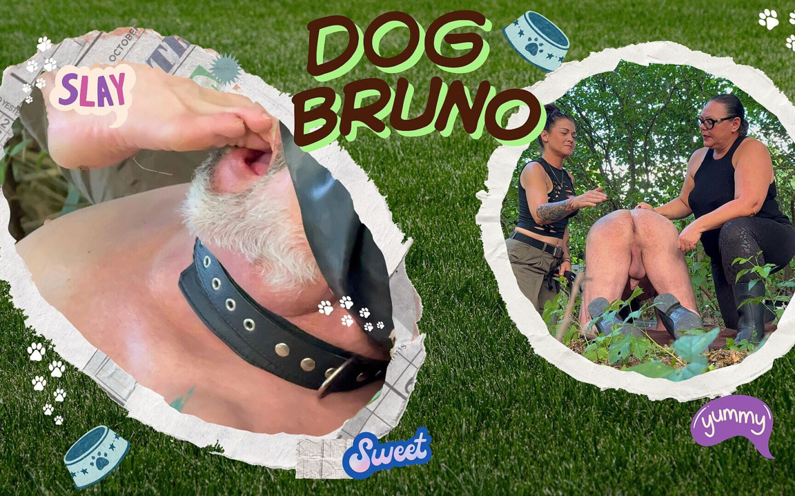 Pet Bruno parkta