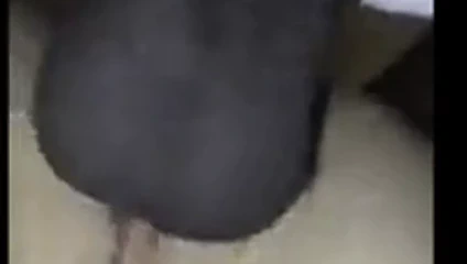 İyi derin çük beyaz kediyi mutlu bir kedi yapar.