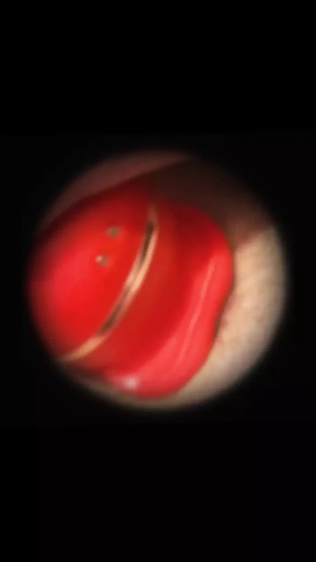 Развлечение с игрушкой