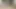 Şınavlar bu vahşi striptiz oyununda güçlerini test ediyor