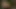 Dana cadaloz teaser 2