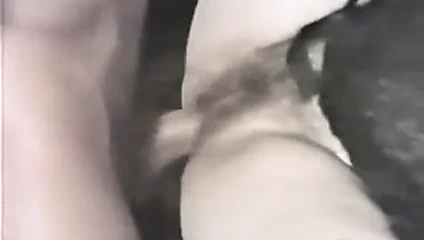 Büyük kavunlar 5 (1985)