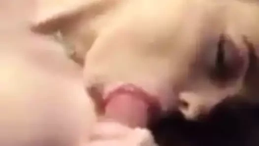 Büyük yarak bakış açısı