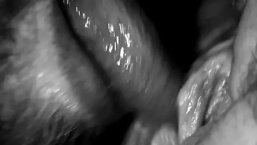 Porno jim'in çizgisi