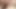 A naked MILF with beautiful big breasts jerks off her husband's cock and makes him cum on her nipples