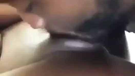 kedi yeme