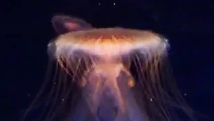 kıllı güzel bebeğim patlayıcı orgazm