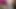 Aunty sucked my small cock with fun and drank all the water of the land / Indian Aunty Cum in Mouth/Blowjob Job Desi Grill