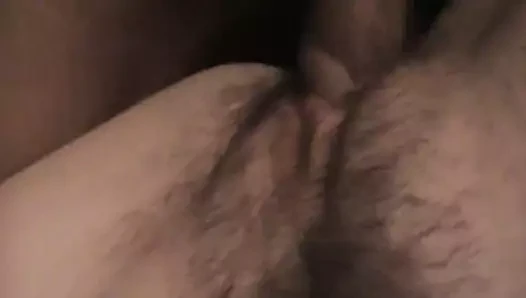 lanet onu kıllı KEDİ