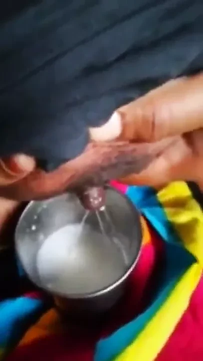 desi süt