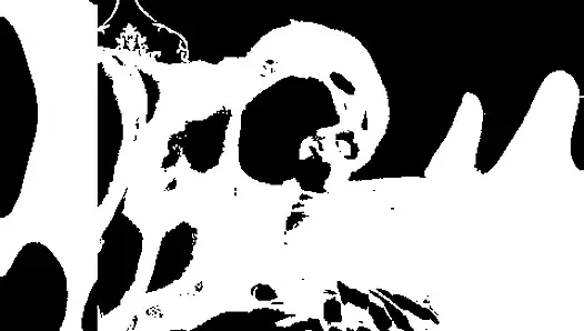 43 yaşında Karayipler en iyi derin boğaz