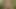 Lola bunny uzay reçeli anal hentai tüylü animasyonlu