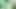 Stacxxxs sunar: Greenlight Special - Amber Lee