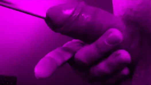 Sonding sert benim horoz