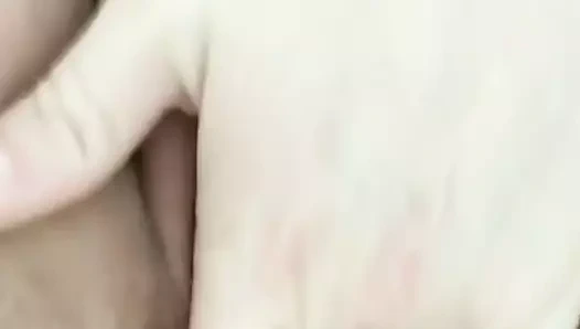 Bir sulu kedi yarık