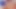 18+ güzellik Sofia domaltarak ve misyoner pozisyonunda sert sikişirken yüksek sesle inliyor - Hintli desi mms hd porno videoları bdsm bakış açısı seks