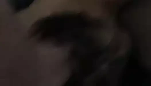 Iara rubia argenta 4