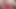 Oda arkadaşımız bizi porno yaparken yakaladı! 31 TALIMATı