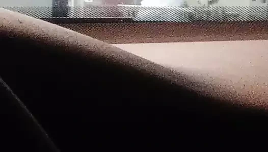 Sulu eşek at the çamaşırhane arkadaşı