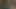 Fuck My Girlfriend